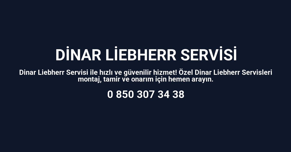 Dinar Liebherr Servisi